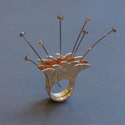 rheinblick_Blume a